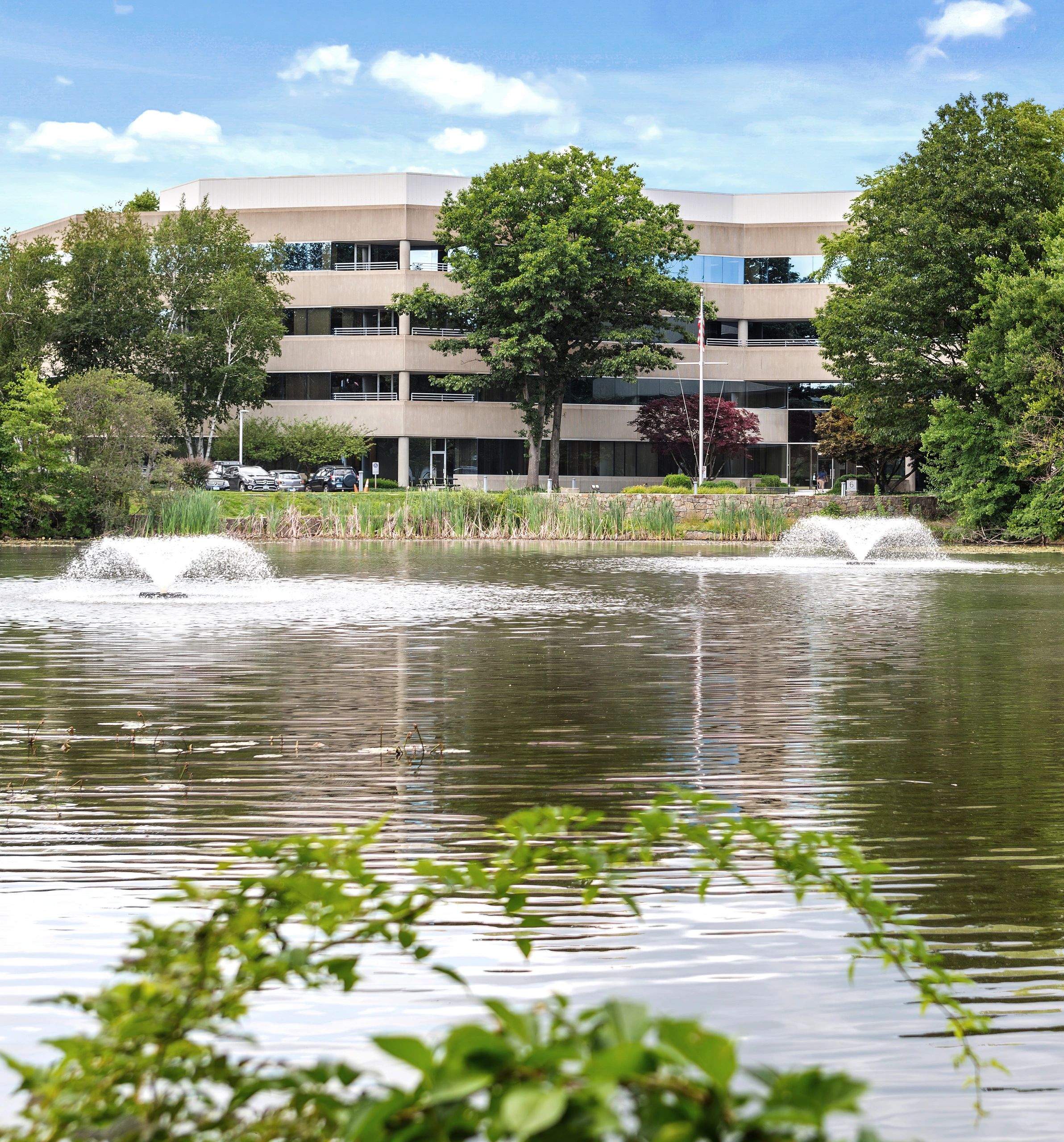 PUMA 6 ON ARMSTRONG intelligence overview